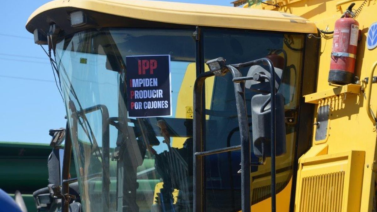 Los agricultores de Guadalajara reclaman a la Junta suprimir la norma que está impidiendo la recogida de los cereales