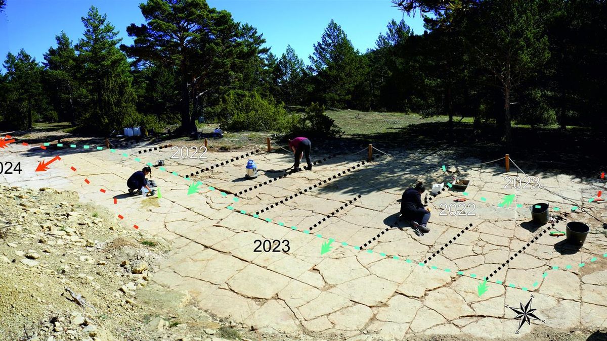 Un estudio científico sitúa a Teruel entre los referentes europeos por sus yacimientos de huellas de dinosaurio