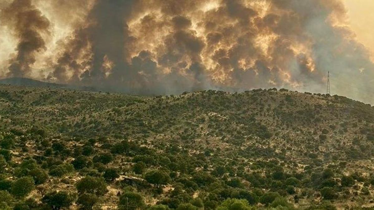 Incendio originado en Navalmoralejo (Toledo)
