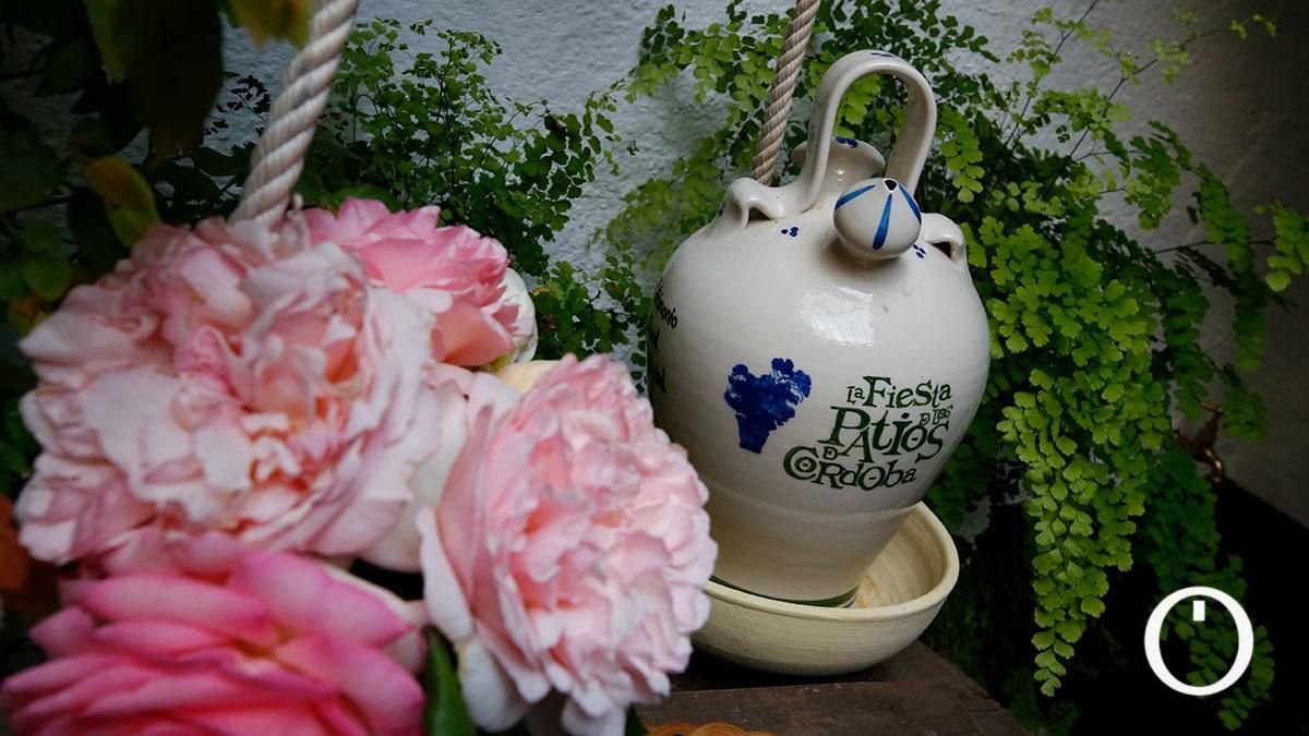 Patio Zarco, 13 - 2022