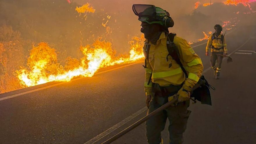 Al menos 11 muertos en el incendio de Los Gallardos en Almería