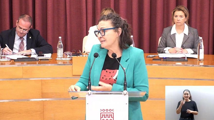 Podemos-IU advierte que el Casco Antiguo parece "una feria de borrachera" y Escobar dice estar estudiando suspender las licencias de pisos turísticos