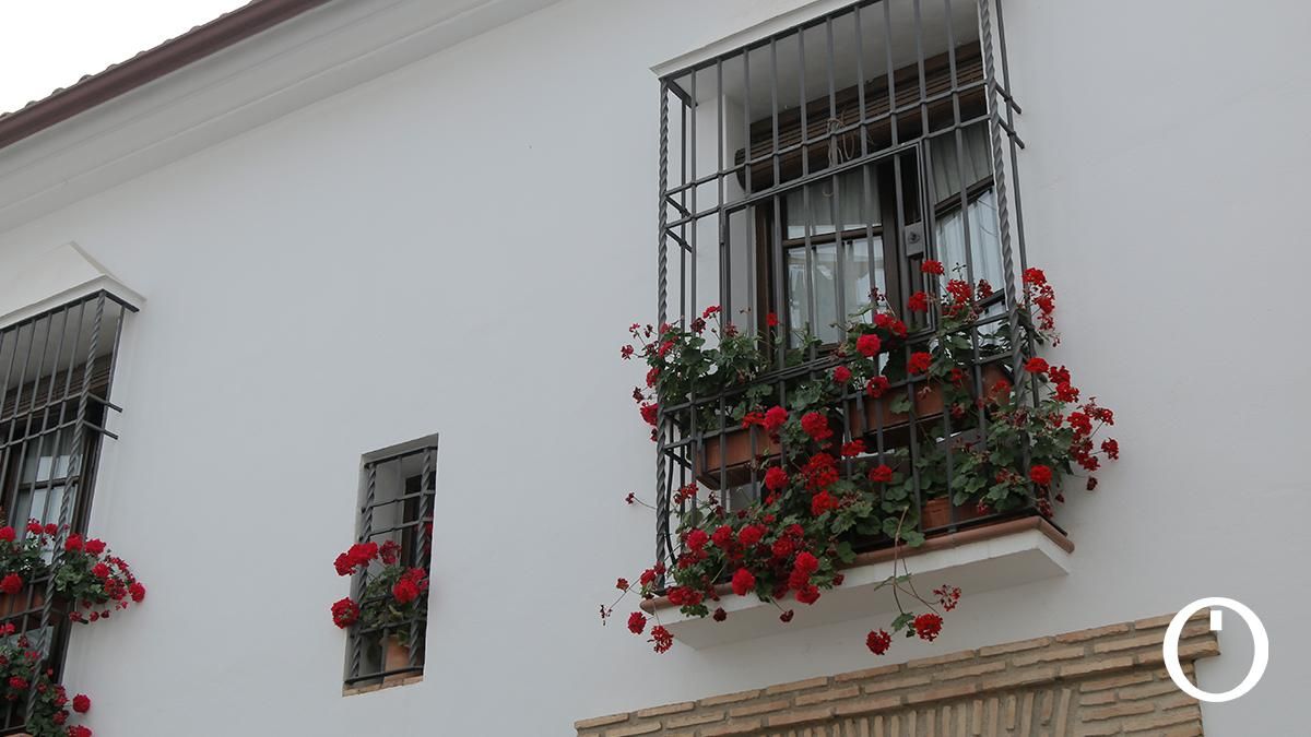 Rejas y Balcones en la C/ San Basilio, 20