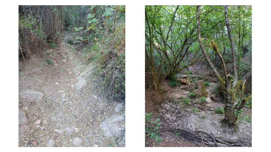 El arroyo Bejarano se seca por completo por primera vez en décadas