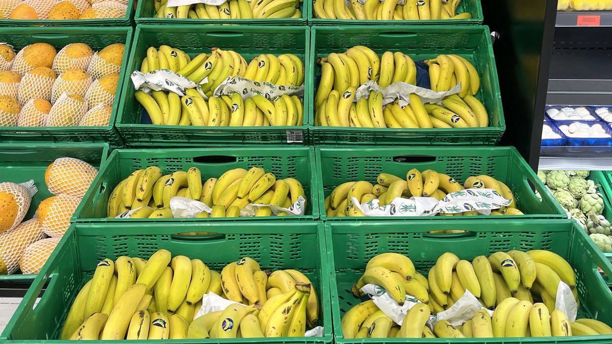Mercadona compra 70 millones de kilos de Plátano de Canarias en 2025