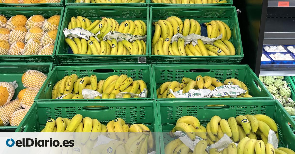 Podemos propone crear una red pública de supermercados en Canarias para garantizar precios  justos 