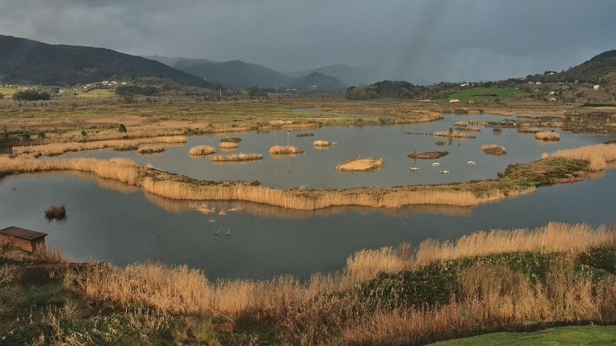 Ciudadanos encabezados por exdirigentes de Podemos piden en el Parlamento Vasco con una ILP más protección para Urdaibai