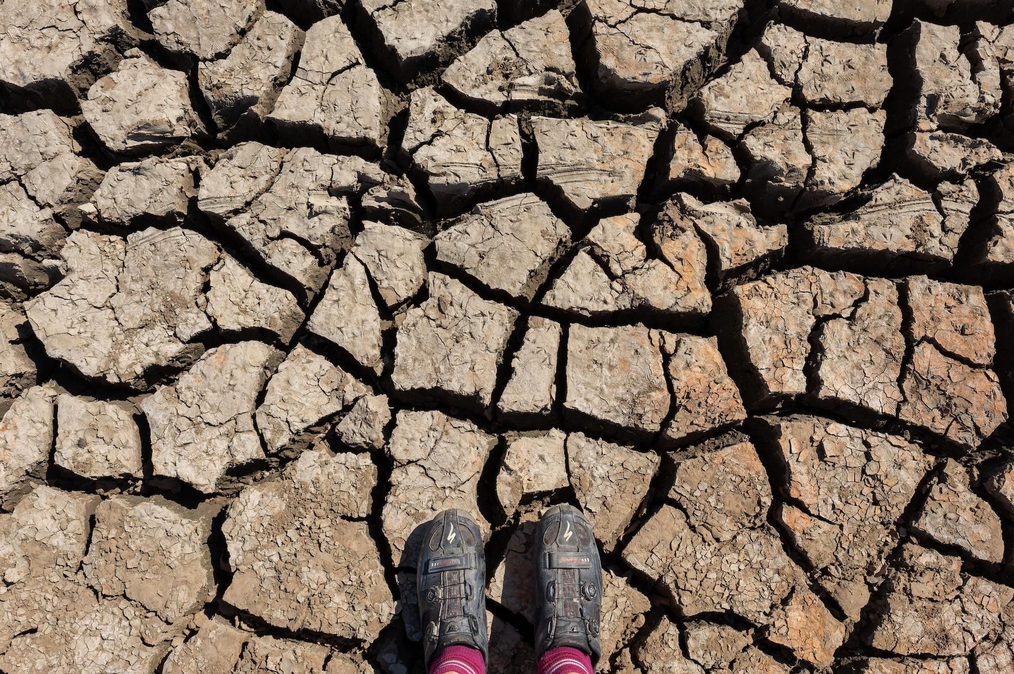 Los países miembros de Naciones Unidas se reunirán en los próximos días para buscar soluciones a la desertificación de los suelos. Foto: cortesía Instituto para el Agua, el Medio Ambiente y la Salud de la Universidad de las Naciones Unidas (UNU-INWEH)