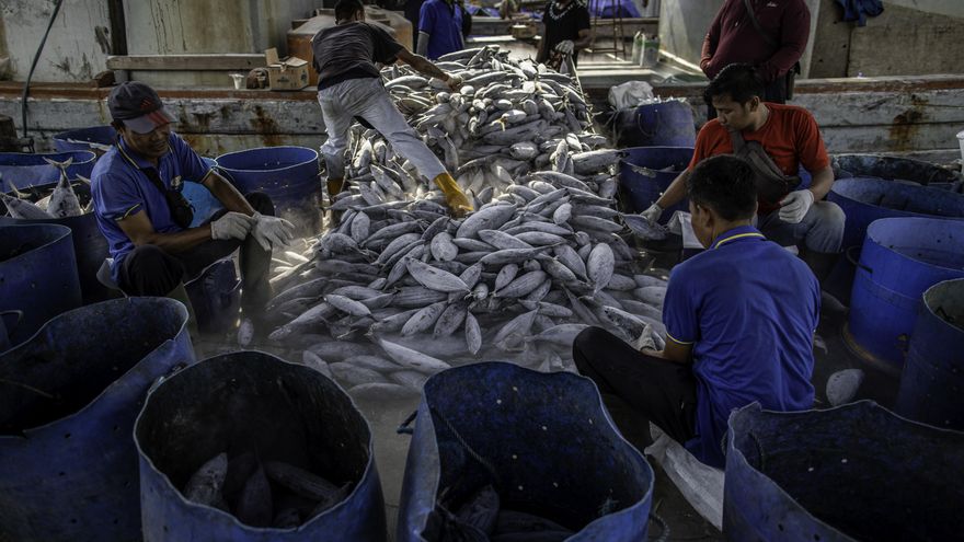 Muerte, abusos y esclavitud: los pescadores indonesios revelan cómo es la vida en los buques de pesca de altura