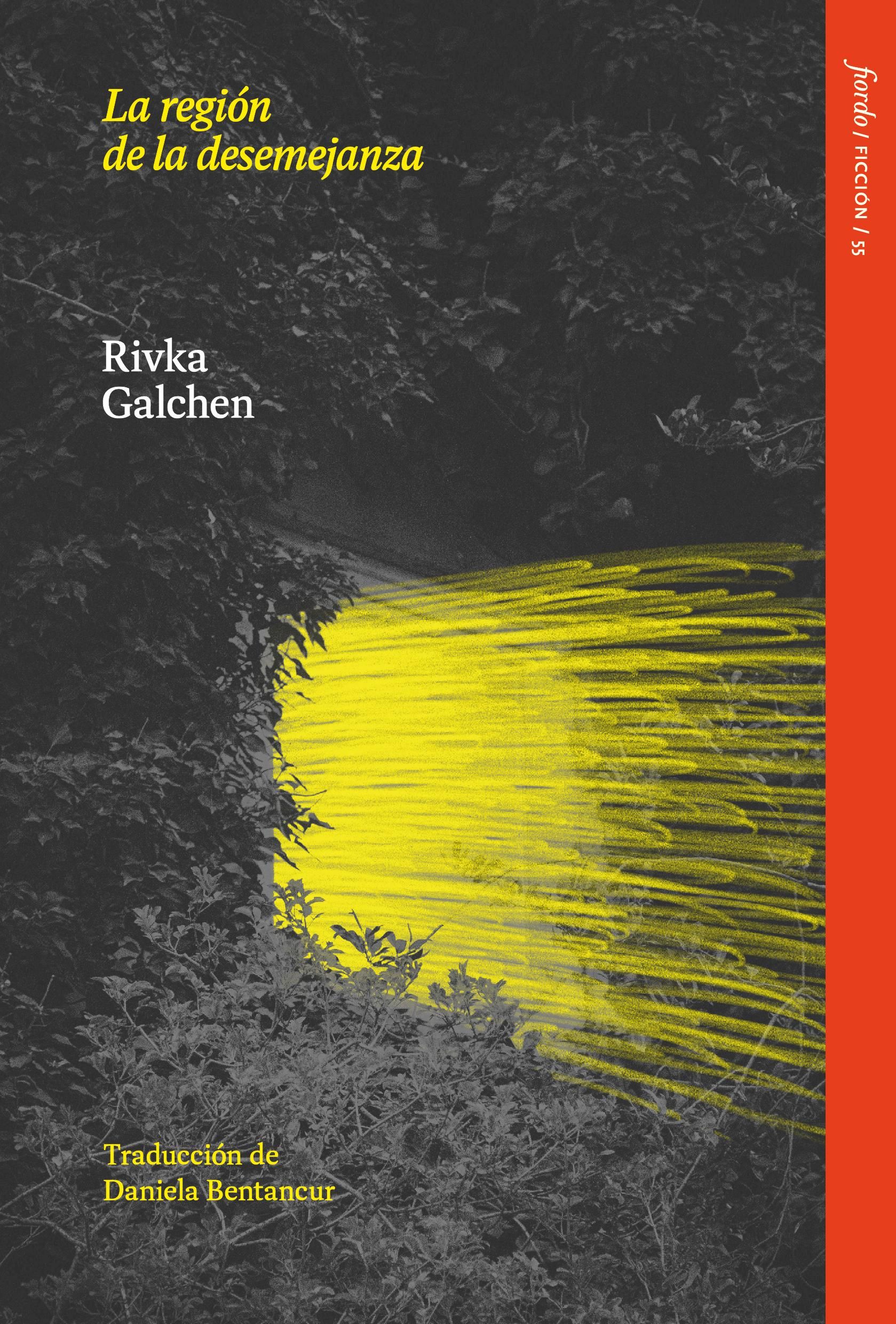 La región de la desemejanza, de Rivka Galchen.