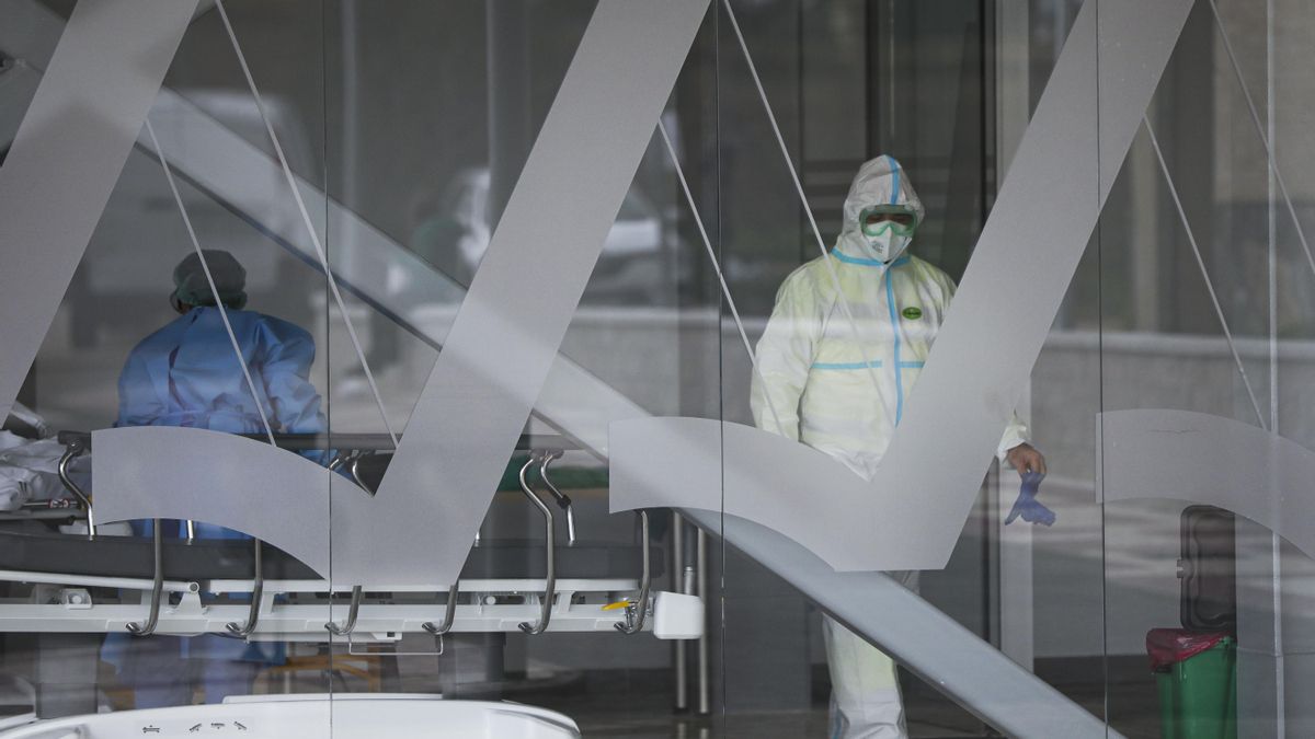 La Universidad de Las Palmas investiga si una variante de gripe aviar ha podido transmitirse de animales marinos a humanos