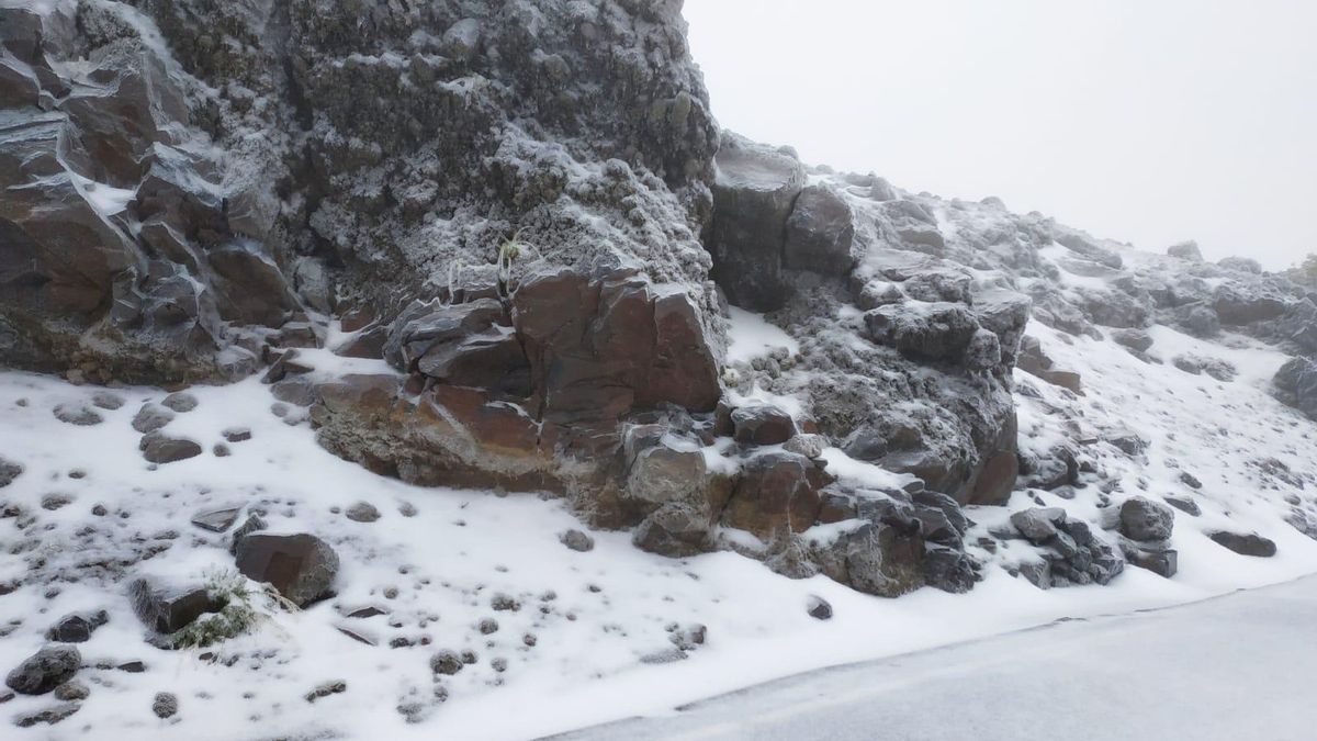 Paisaje invernal: primavera helada en La Palma