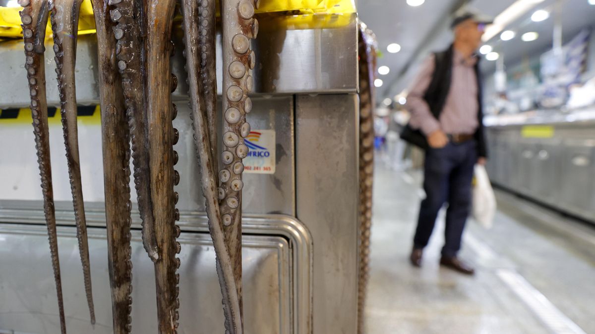 Nacemento dun alimento