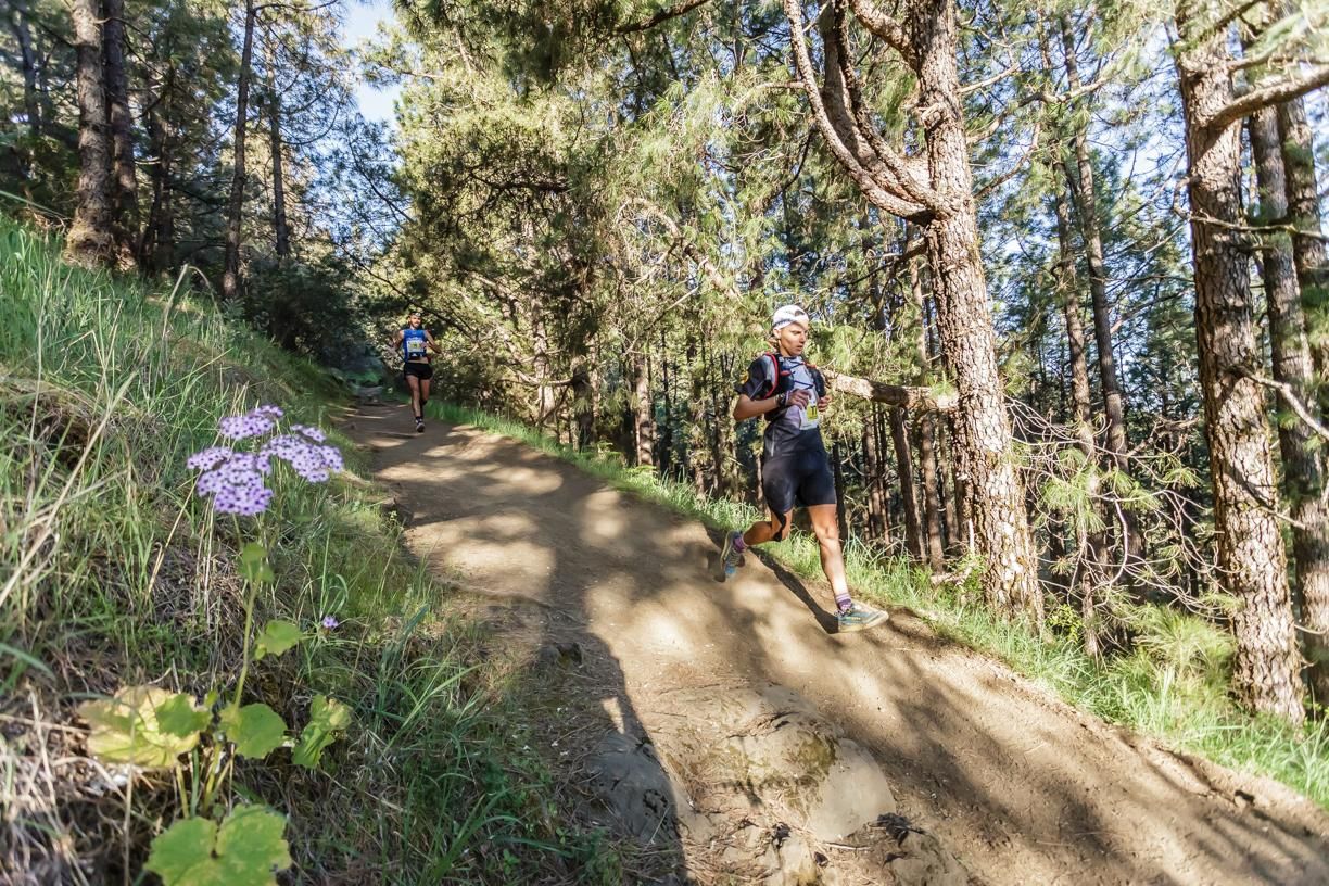Un atleta atraviesa una zona boscosa. Foto: MIGUEL ÁNGEL LÓPEZ GALÁN.