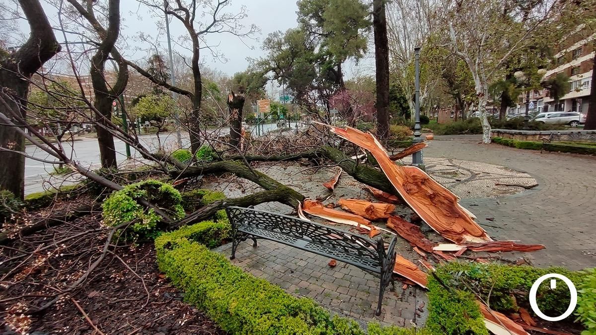 Los efectos del viento y la lluvia en Córdoba