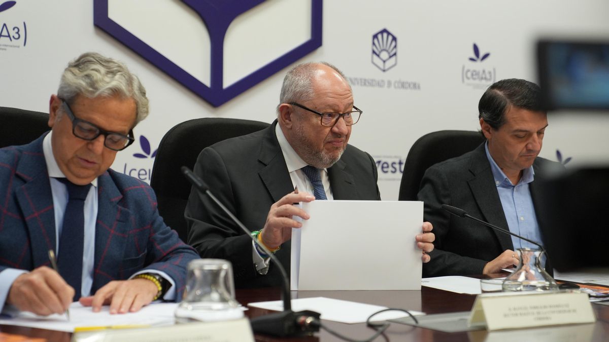 Firma del memorando de colaboración y presentación de la programación de actividades del Año Averroes.