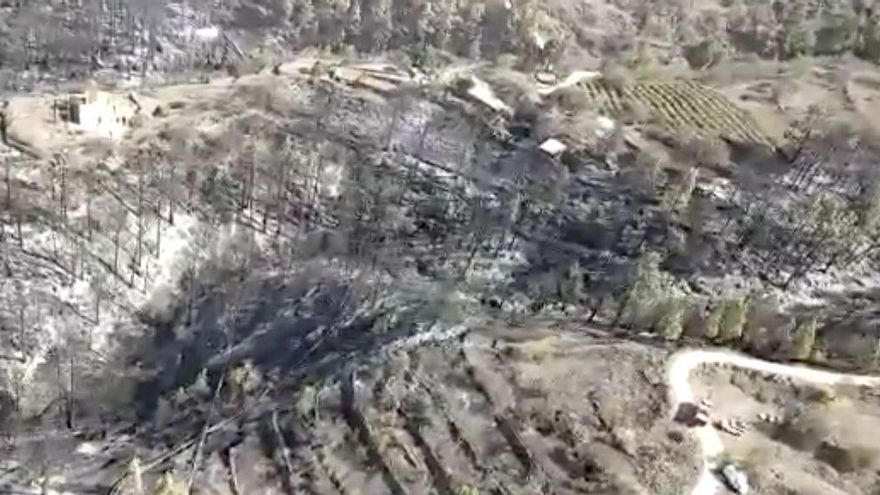 Vista aérea de la zona afectada por el incendio de Tijarafe  (GES)