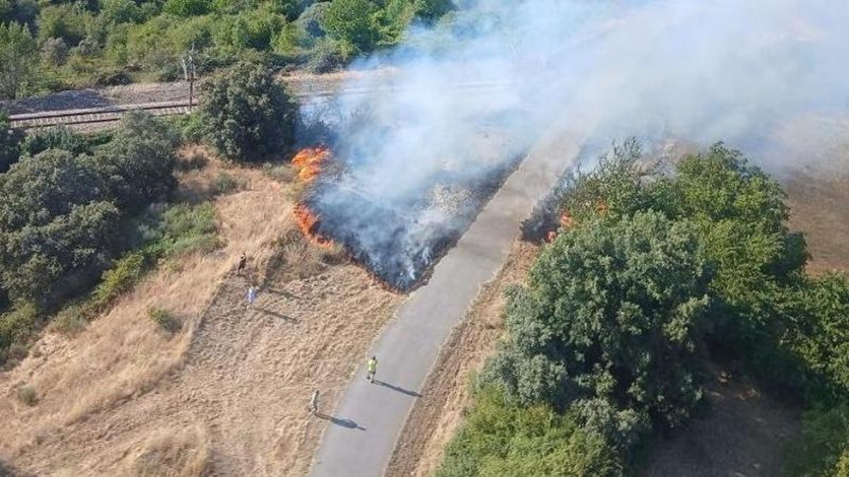 Incendio forestal en La Granja de San Vicente.