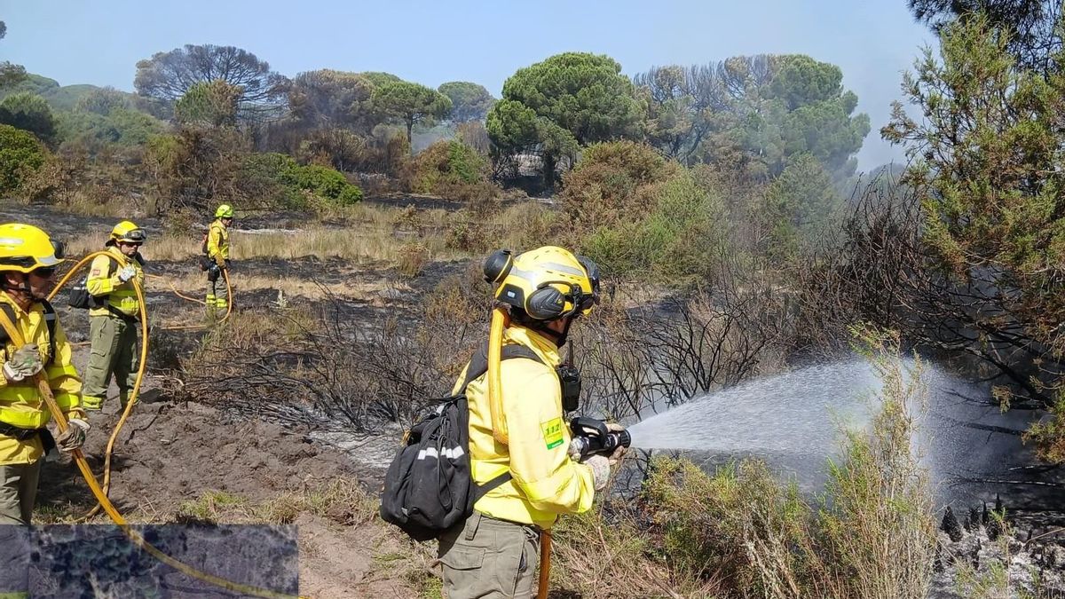 Bomberos forestales combaten el fuego en Doñana este martes.