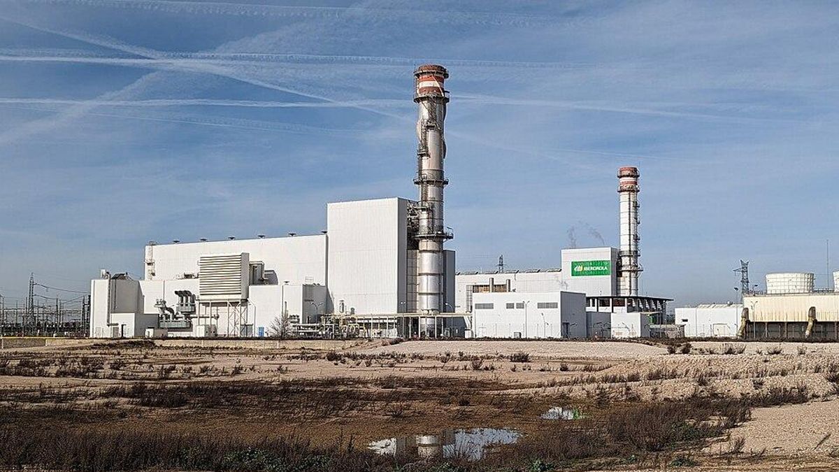 Varios nidos de águila imperial impiden un parque solar para una las centrales eléctricas más importantes del país