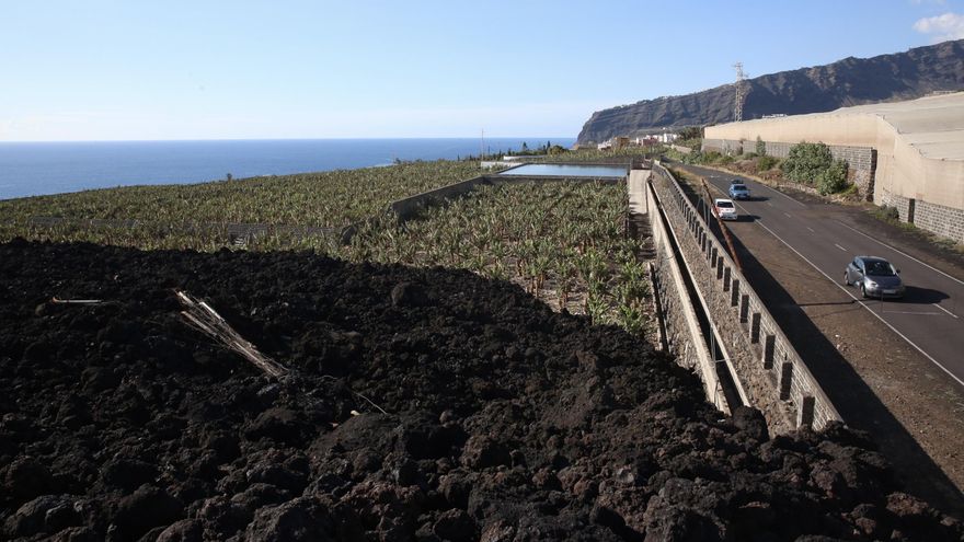 Una de las coladas del volcán de La Palma parada junto a una finca de plátanos en La Palma