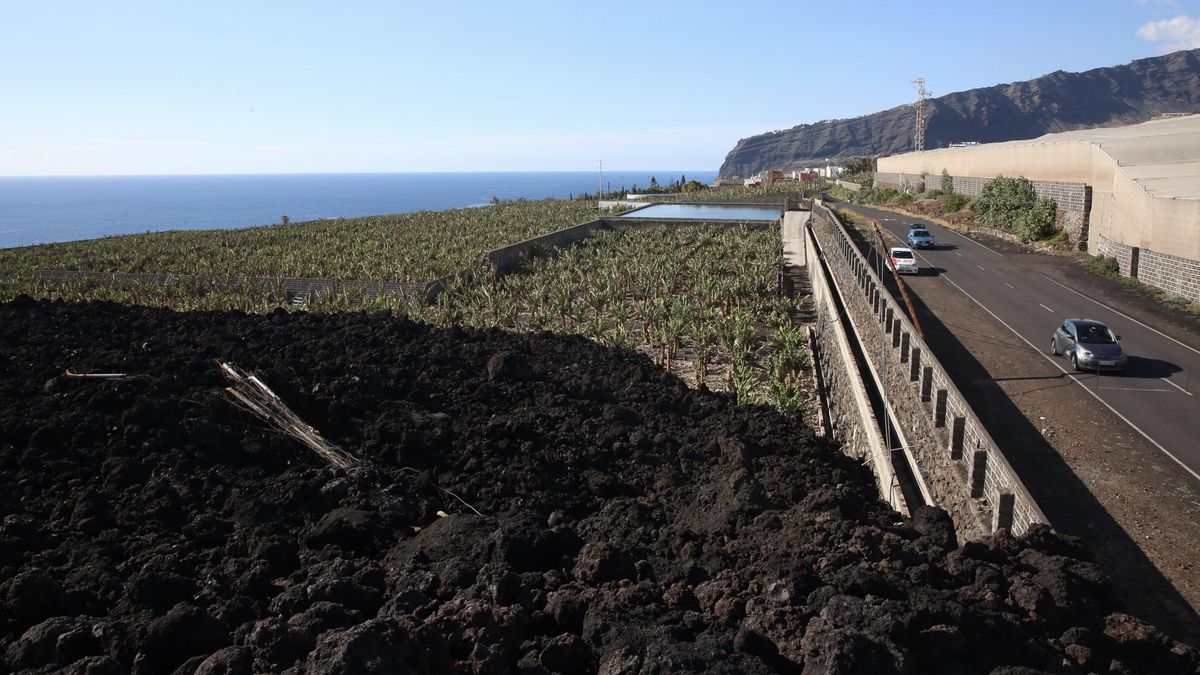 El Cabildo de La Palma amplía a los plataneros de toda la isla la compensación extra por el volcán de 2022-23
