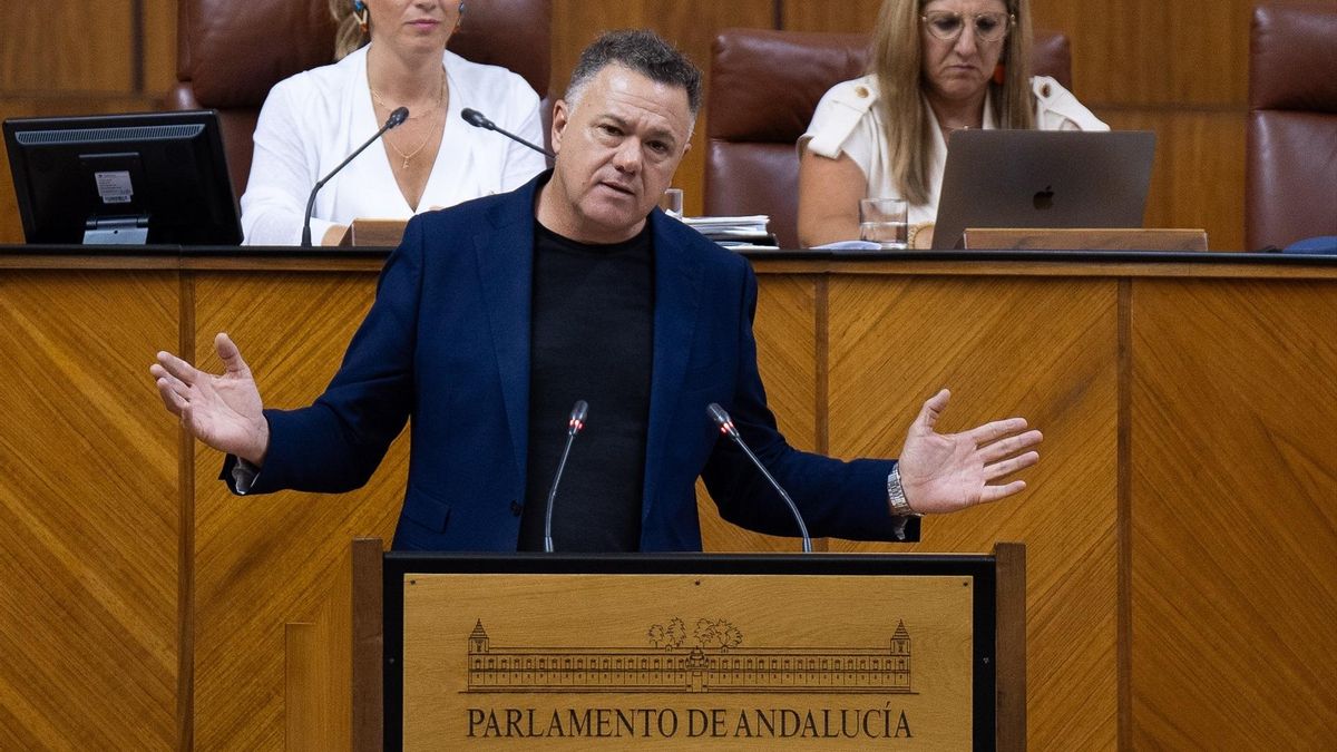 Juan Antonio Delgado, durante una intervención en el Parlamento andaluz.