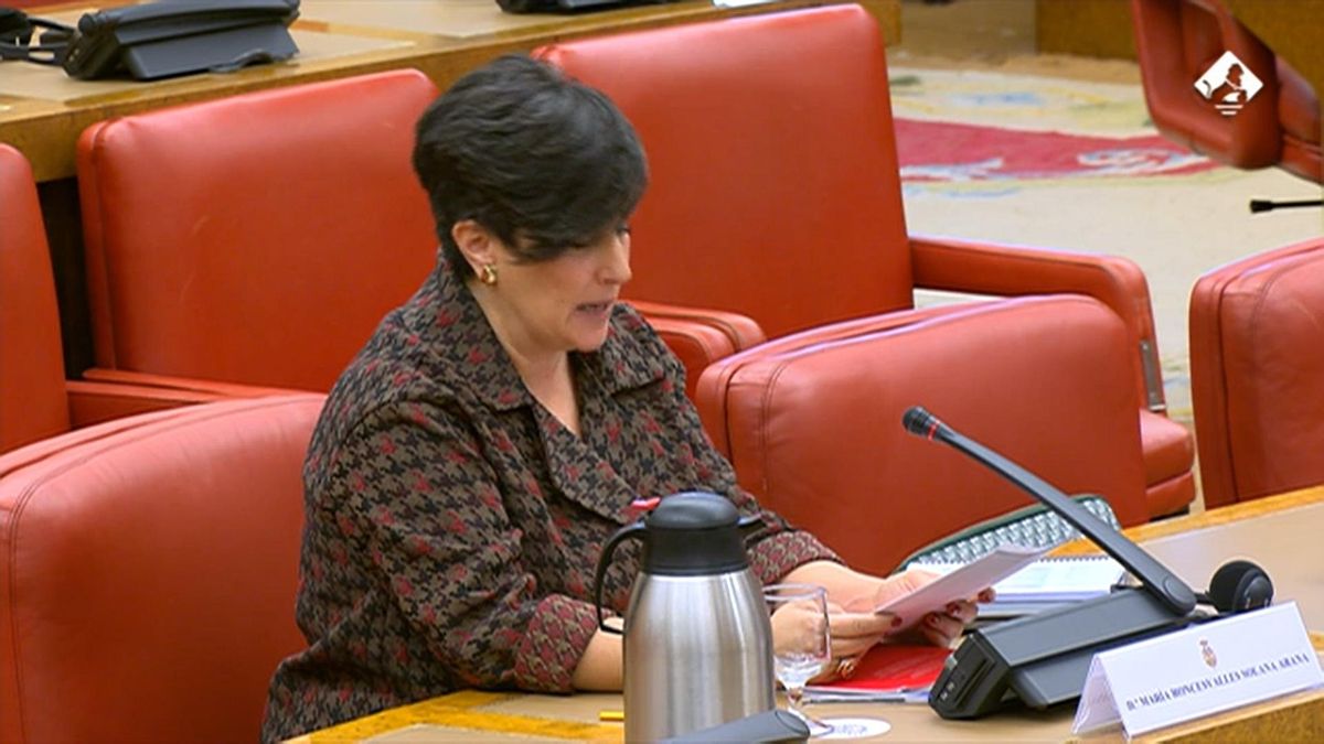 María Roncesvalles (PNV), en su comparecencia