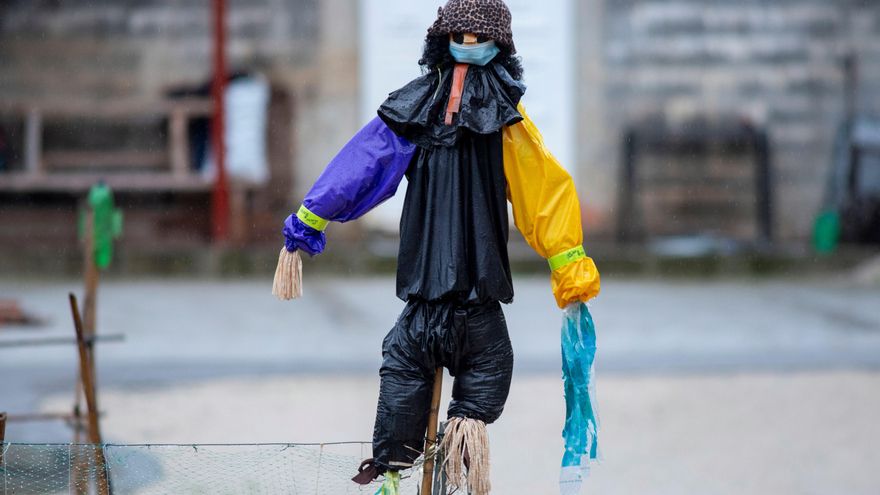 Nueva subida de casos (424) y de incidencia acumulada en Galicia. En la imagen, un espantapájaros con mascarilla en la finca de una vivienda en Ourense. EFE/Brais Lorenzo