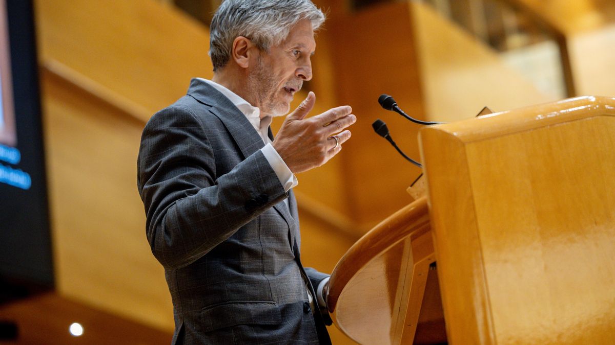El ministro del Interior, Fernando Grande-Marlaska, interviene durante una sesión plenaria en el Senado