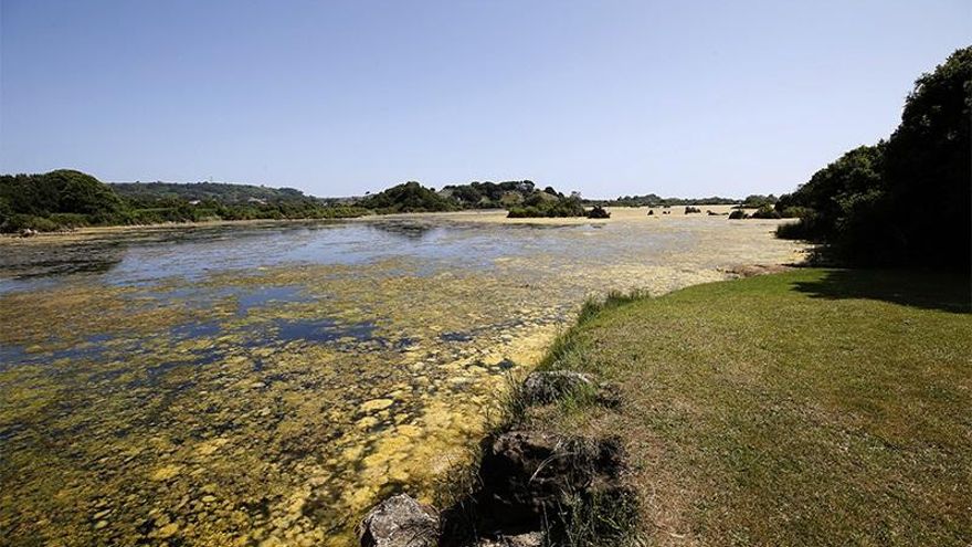 Marismas de Santoña.