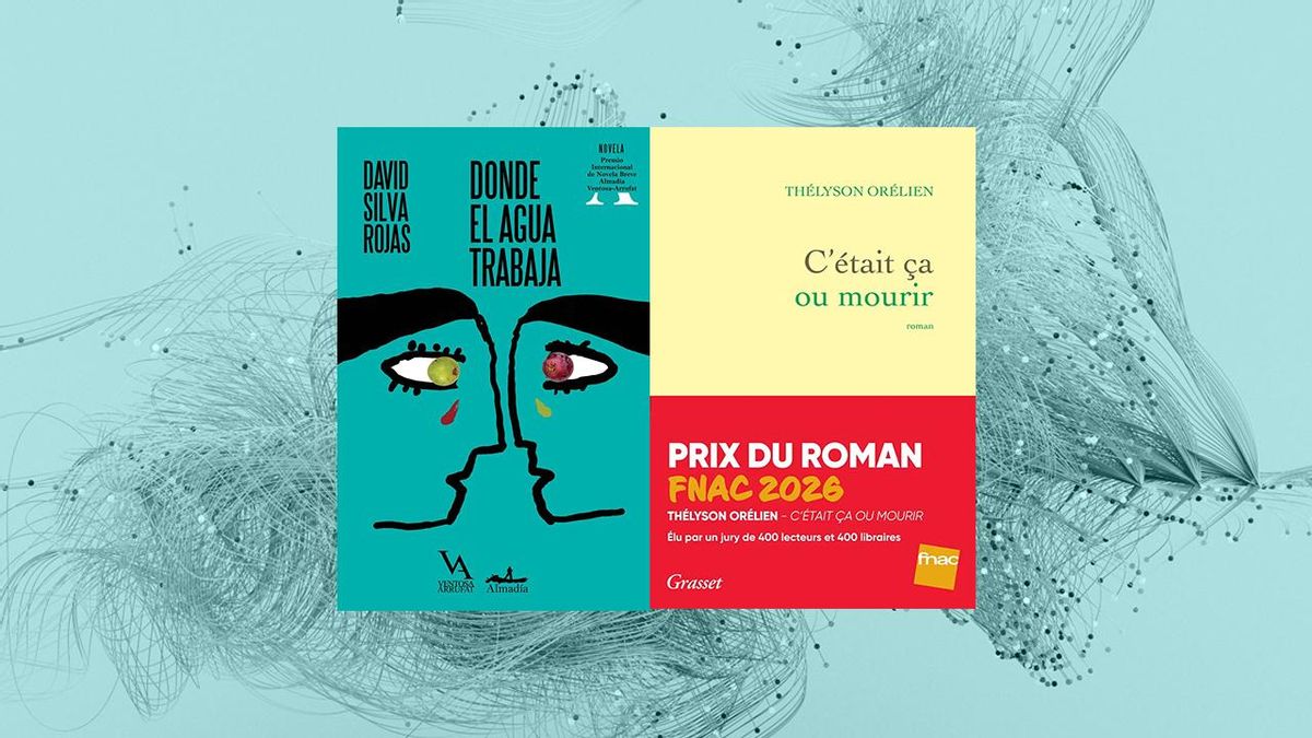 Las portadas de los dos libros acusados de haber sido escritos con IA