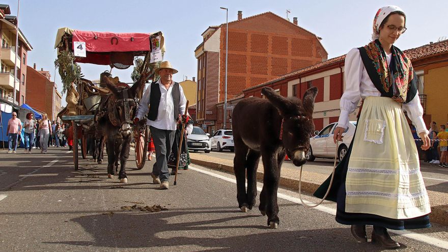Tradicional romería de pendones y carros engalanados de San Froilán.