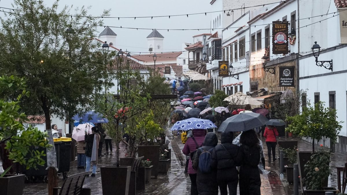 Tejeda enciende la Navidad tras ganar 'Juntos brillamos más' de Ferrero Rocher.