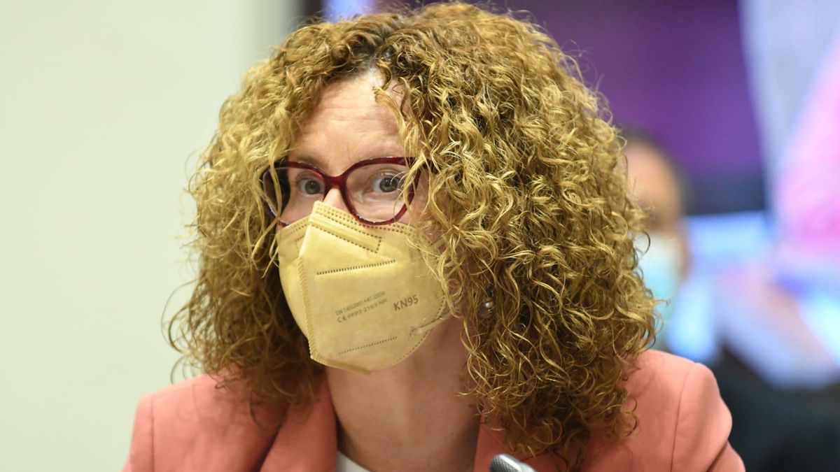 Nieves Hernández,  consejera de Acción Social del Cabildo de La Palma.