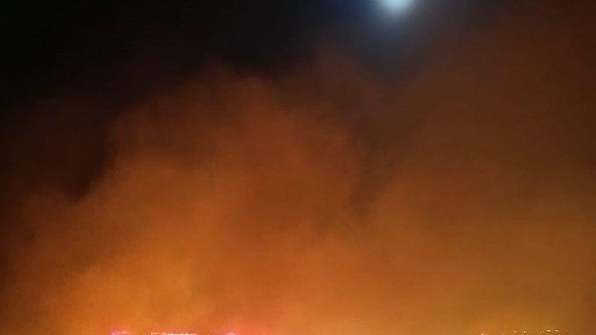 Cantabristas denuncia la pasividad del Gobierno del PP frente a los recurrentes incendios forestales