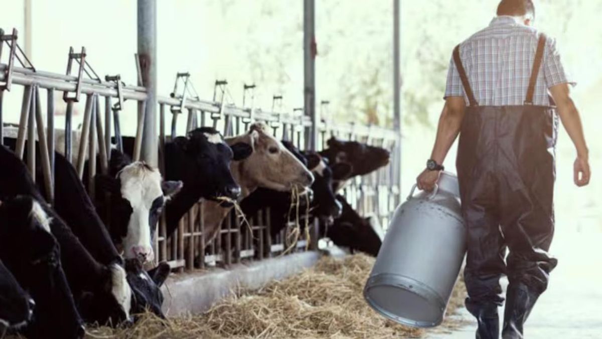 Día del Tambero: ¿por qué se celebra el 23 de febrero en la Argentina?