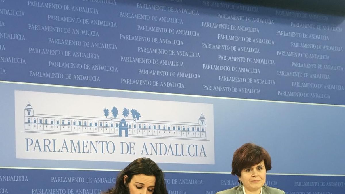 Podemos Andalucía, "sorprendido" por la destitución de Sergio Pascual