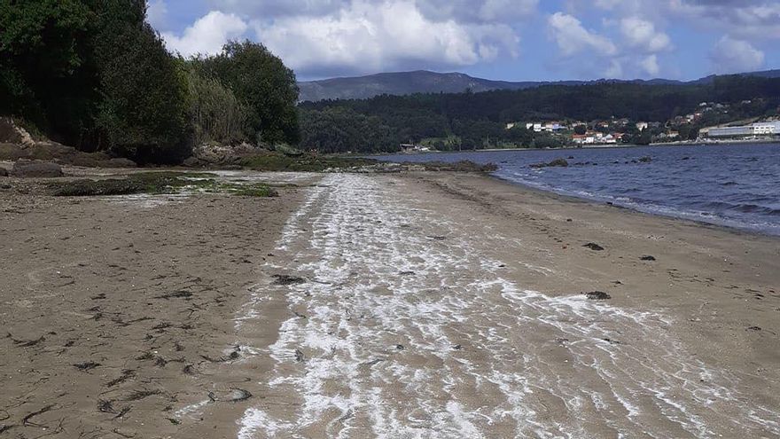 La Fiscalía denuncia a la mayor conservera de Galicia por contaminar la ría de Arousa