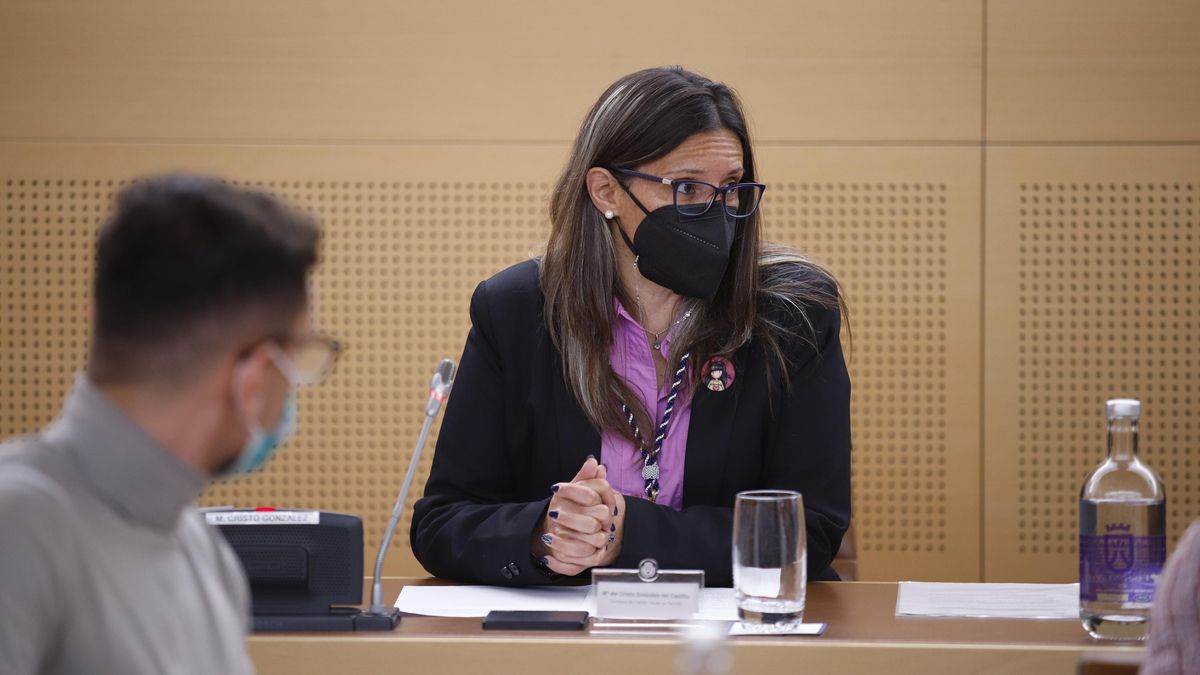 María del Cristo González, nueva consejera Sí Podemos Canarias en la Corporación insular tinerfeña