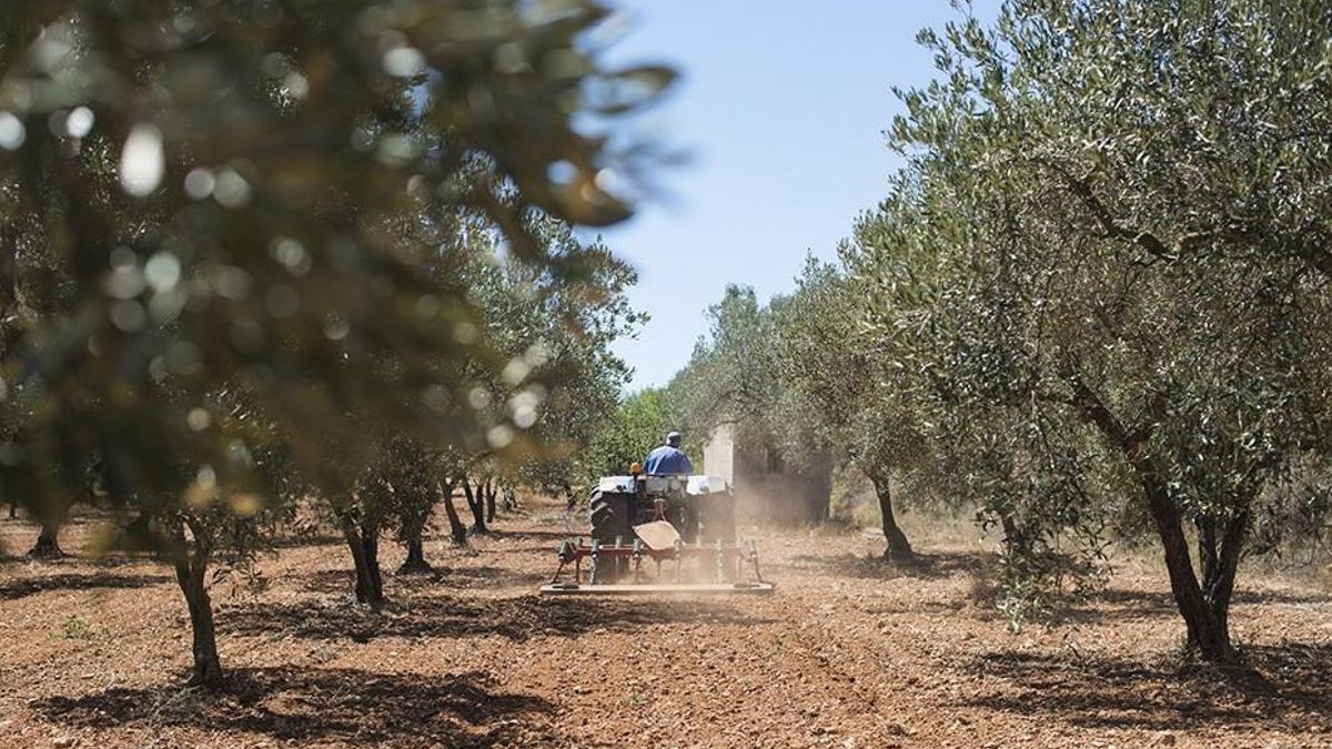 Nueva muerte en accidente laboral en el campo al volcar el tractor que conducía un varón de 58 años en Cuenca