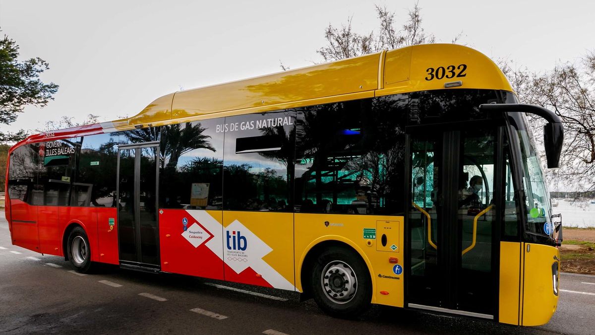 La conductora de l'autobús que va causar l'accident mortal de Valldemossa dona negatiu a la prova d'alcoholèmia