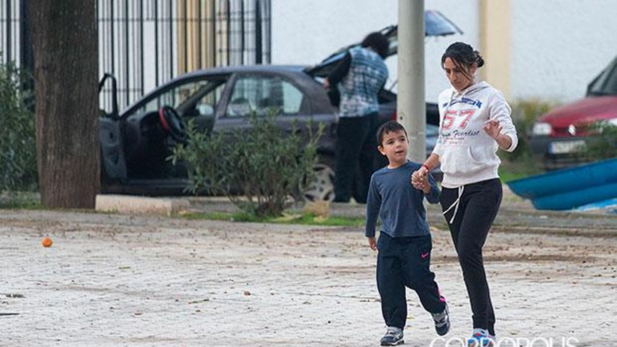 El barrio de Las Palmeras