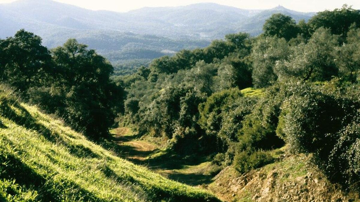 Paisaje de la Sierra de Aracena
