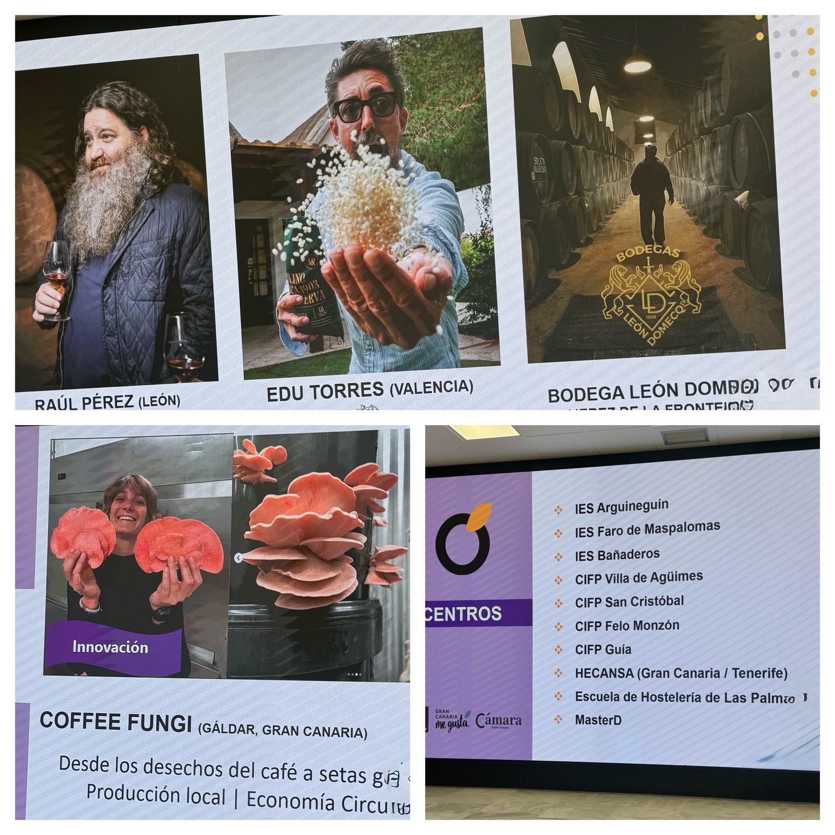 Este evento, promovido por el Cabildo de Gran Canaria y la Cámara de Comercio, va a reunir en la isla a 23 profesionales.