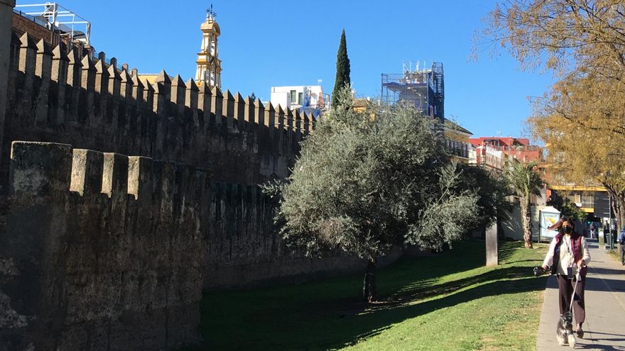 Lienzo exterior de la muralla, con el muro de la barbacana por delante.