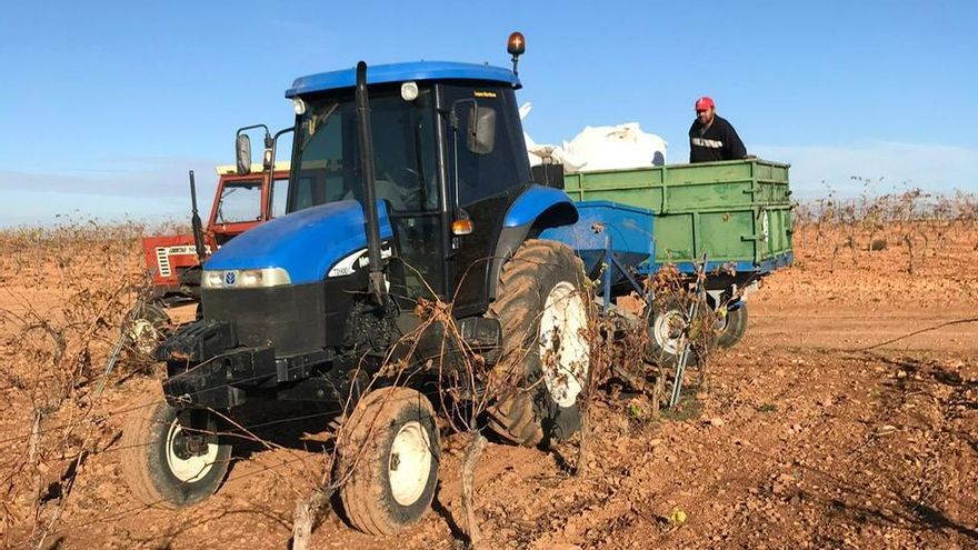 Trabajando en la viña