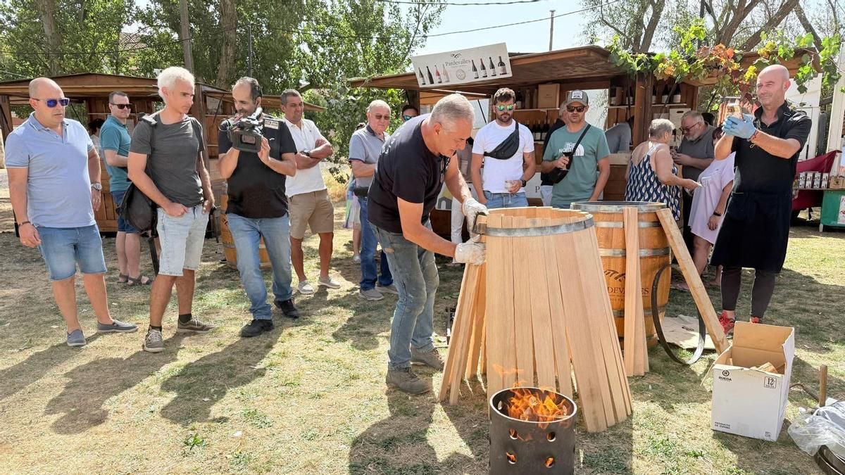 La DO León celebra este sábado en Valencia de Don Juan el final de la campaña con la Fiesta de la Vendimia
