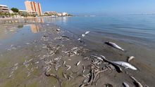 Mar Menor