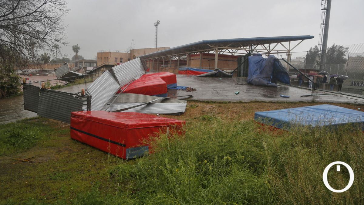 Destrozos del viento en El Fontanar